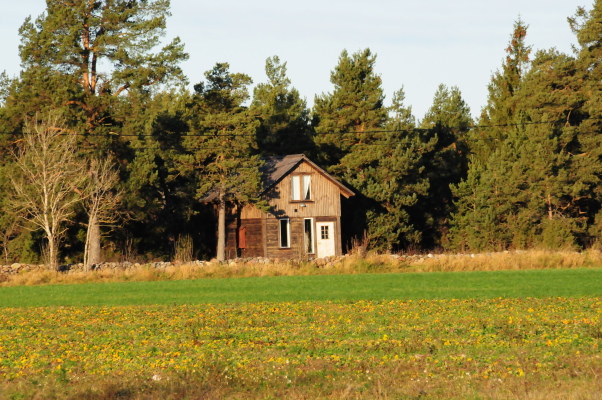 På sommaren - 