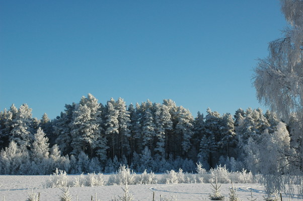 Ansicht Winter - 