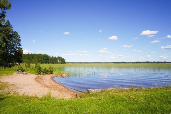 View summer - 
