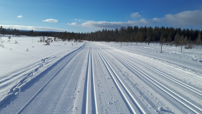 på vintern - 