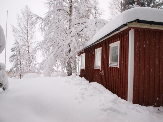 På vintern - 