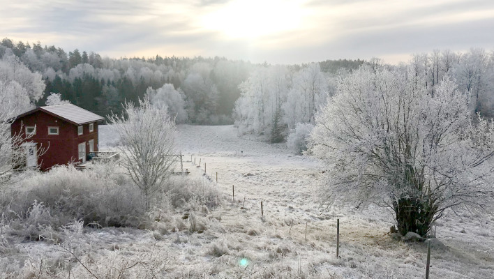 På vintern - 