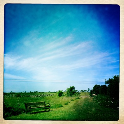out of house - 