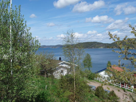 View summer - 