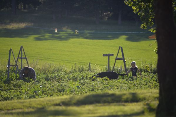 på sommaren - 