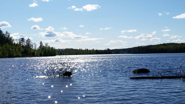 på sommaren - 