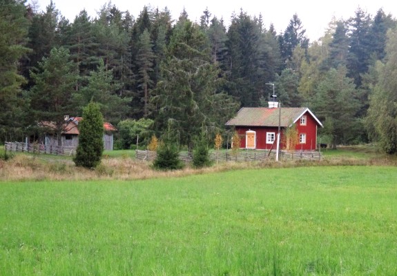 View summer - 