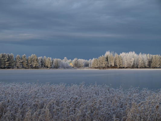 på vintern - 