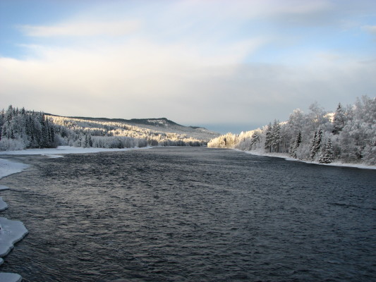 på vintern - 