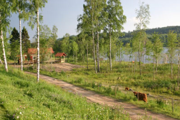 på sommaren - 