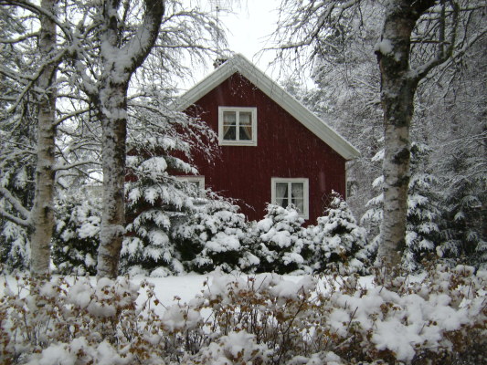 På vintern - 