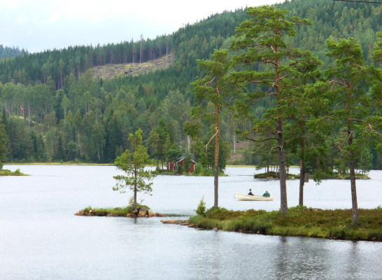 på sommaren - 