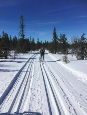 på vintern - 