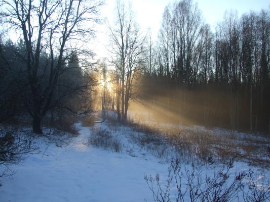 Ansicht Winter - 