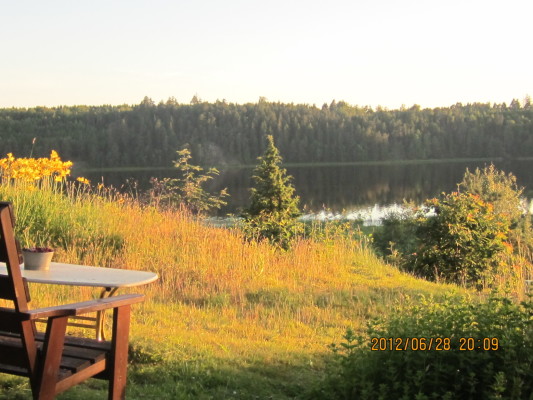 Övrig - 