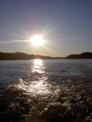 View summer - 