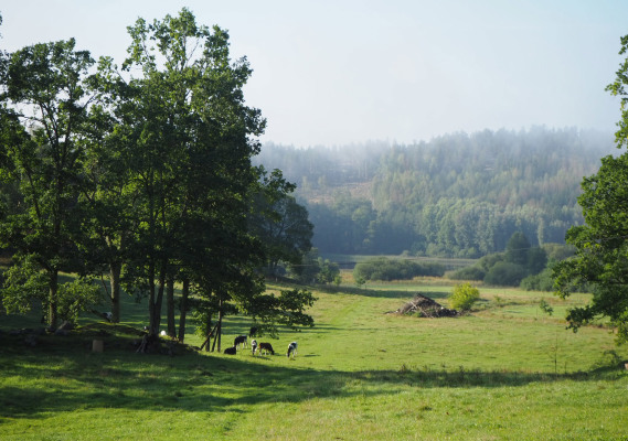 På sommaren - 