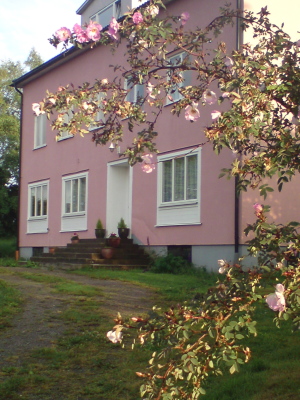 View summer - 