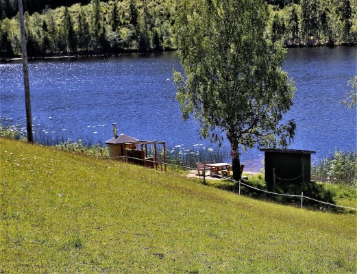 View summer - 
