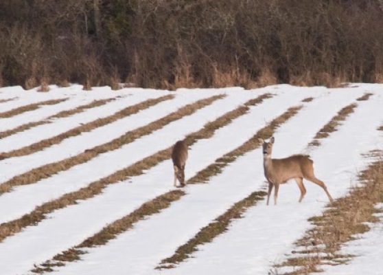 Ansicht Winter - 