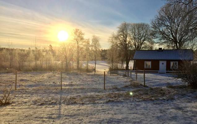 På vintern - 