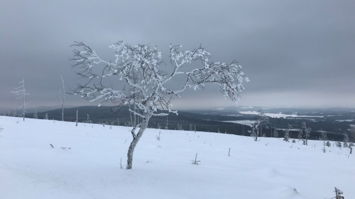 view winter - 