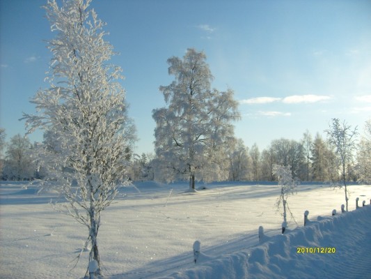 på vintern - 